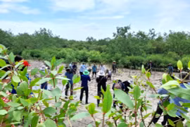 确保经济发展与自然和生物多样性保护之间的平衡。图自Vietnam+