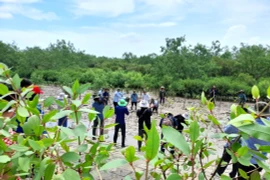 确保经济发展与自然和生物多样性保护之间的平衡。图自Vietnam+