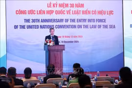 越南外交部部长助理阮明宇在纪念典礼上发表讲话。图自越通社