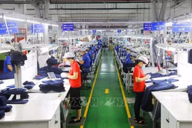 VCCI支持约三万企业家和企业参加国际合作活动。图自越通社