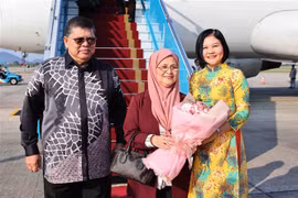 马来西亚国会下议院议长佐哈里·阿卜杜勒及其夫人和马来西亚国会下议院代表团已抵达首都河内内排机场。图自越通社