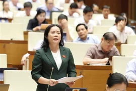 越南国会代表听取报告并对《预防和打击人口贩卖法草案（修订案）》提出意见。图自越通社