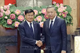 国家主席苏林会见老挝人民革命党中央总书记、国家主席通伦·西苏里。图自越通社
