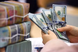 附图：10月8日上午美元价格再次上涨至25000越南盾的水平。图自互联网