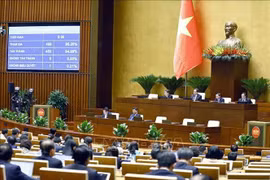 十五届国会八次会议：通过《城乡规划法》