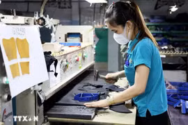 胡志明市嘉定集团股份公司鞋类生产链工人。图自越通社