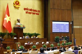 430名国会代表中的428名表决通过关于2025年国家预算的决议。图自越通社