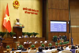 430名国会代表中的428名表决通过关于2025年国家预算的决议。图自越通社