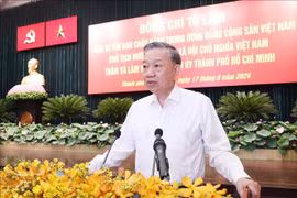 苏林总书记、国家主席发表指导性讲话。图自越通社
