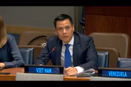 越南常驻联合国代表团团长邓黄江大使出席讨论会并发表讲话。图自越通社