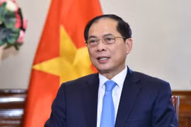 政府副总理兼外交部部长裴青山。图自越通社