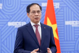 越南政府副总理兼外交部长裴青山。图自政府门户网
