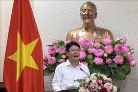 司法部副部长阮青靖。图自越通社
