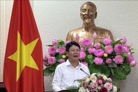 司法部副部长阮青靖。图自越通社