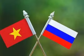 附图：图自Vietnam-briefing.vn