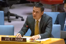 越南常驻联合国代表团团长邓黄江大使。图自越通社
