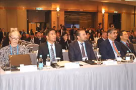 越南最高人民检察院副检察长阮维讲出席会议。图自越通社