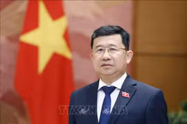 越南国会对外委员会主任武海河。图自越通社