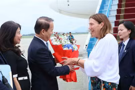 越南国会法律委员会主任黄青松到内排机场迎接澳大利亚联邦议会参议长莱恩斯。图自越通社