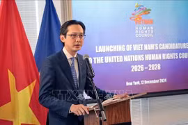 越南外交部副部长杜雄越出席仪式并发表讲话。图自越通社