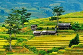 木州：西北地区旅游的绿色明珠。图自互联网