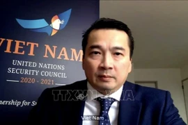 联合国安理会通过关于西非和萨赫勒局势的主席声明