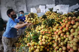 新冠肺炎疫情：市场管理总局实施农产品销售支持计划