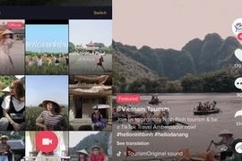 越南是TikTok旅游浏览量最高的25个国家之一