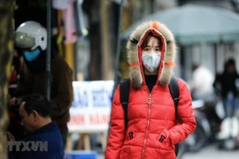  越南北部和中部以北地区遭冷空气袭击 或将出现结冰结霜现象