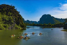 越南努力成为具有吸引力的生态旅游目的地