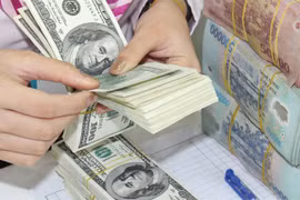 9月6日上午越盾对美元汇率中间价上调3越盾