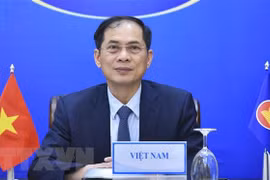 越南外长裴青山出席缅甸人道主义援助视频会议