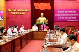 国会和人民议会换届选举：张氏梅视察和平省换届选举准备工作
