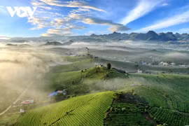 引进投资助力木州旅游“腾飞”