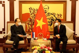 越南与俄罗斯推动交通运输合作走向纵深