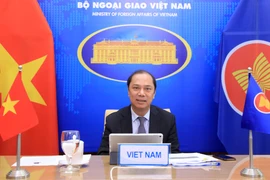 第23届东盟-印度高官会议以视频方式召开
