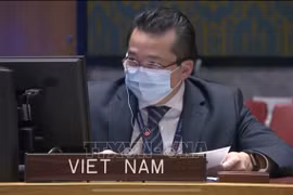 越南支持国际法院中各国际法律程序