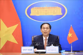 越南着力加强经济外交 为2021年下半年实现双重目标提供服务