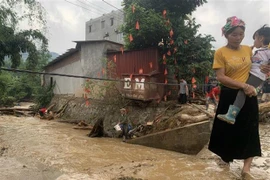 越南政府总理下发通知 要求各地做好暴雨洪涝灾害防御工作