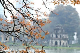 河内为重启旅游活动做准备