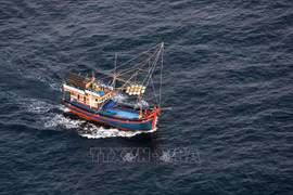 严查严处串通和勾结引导越南渔民进入外国海域从事非法捕捞的行为