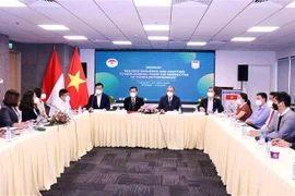 加强胡志明市与印尼新创企业之间的对接