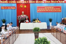 阮氏金银：安江省应加大边境管控力度 做好疫情防控工作 确保换届选举顺利进行
