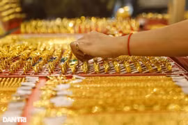 11月22日上午越南国内黄金价格下调至逾6000万越盾一两