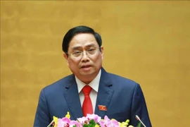 越南成立集体经济革新与发展20年总结指导委员会
