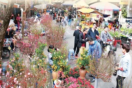 春节乡村集市