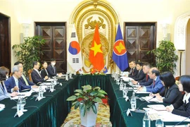 越南尽全力履行东盟-韩国关系协调员的责任