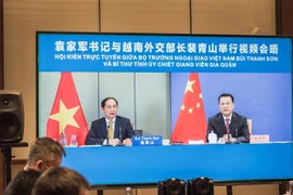 越南外交部长裴青山与中国浙江省委书记袁家军举行视频会晤
