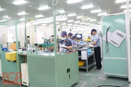 北江省应用生物技术和新材料技术来促进经济社会发展