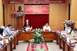 国会代表和各级人民议会代表换届选举：阮氏金银视察坚江省换届选举工作